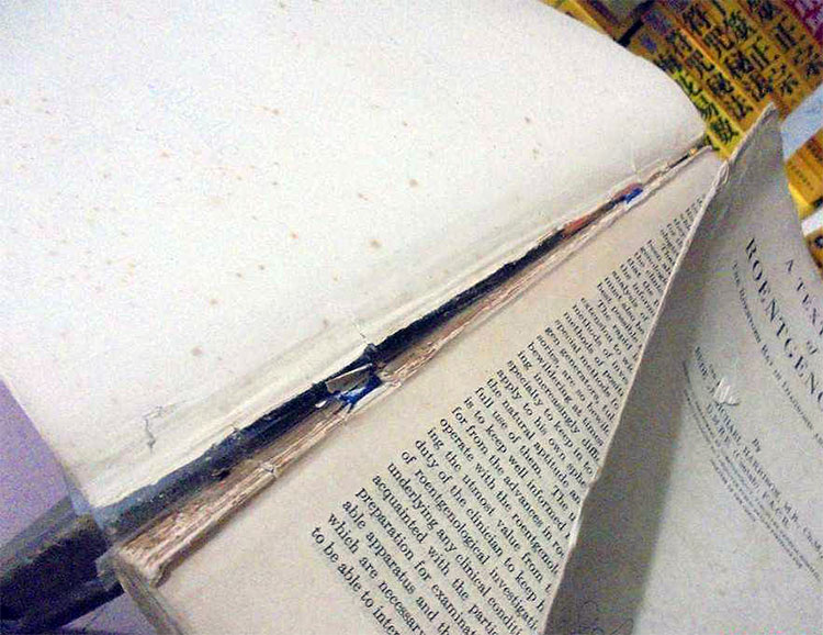 zϻ(do)(sh)Ó(y)